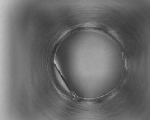 X0000080150205200612302136