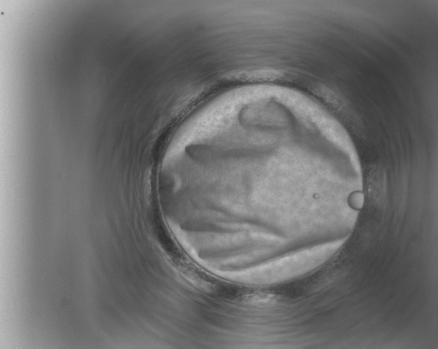 X0000080150206200612302136