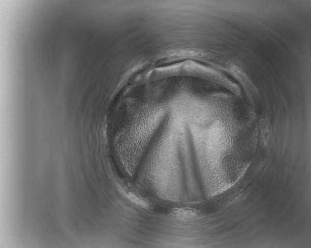 X0000080150207200612302136