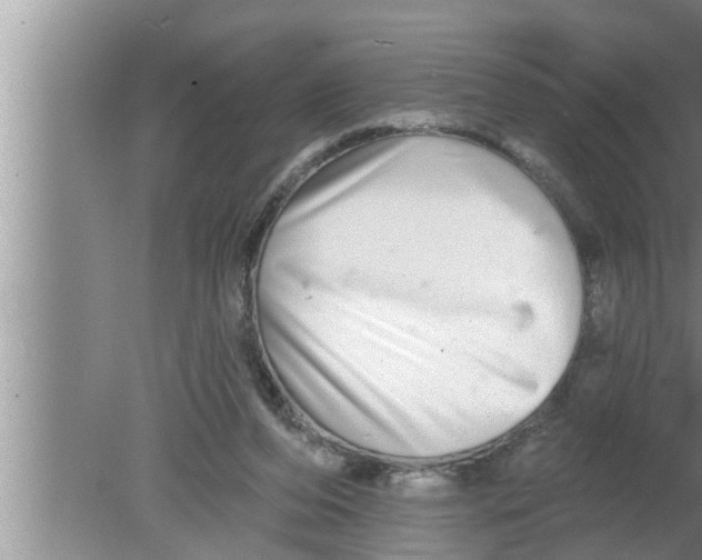 X0000080150208200612302136