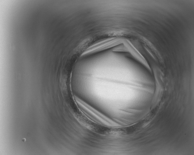 X0000080150209200612302136