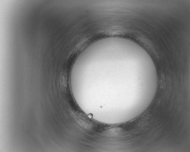 X0000080150210200612302136