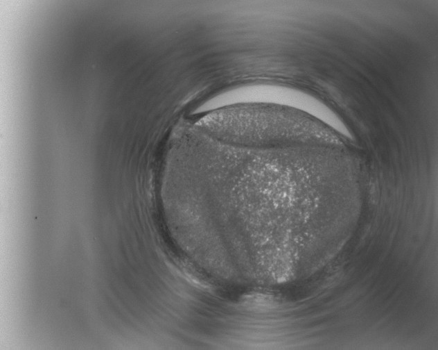 X0000080150211200612302136