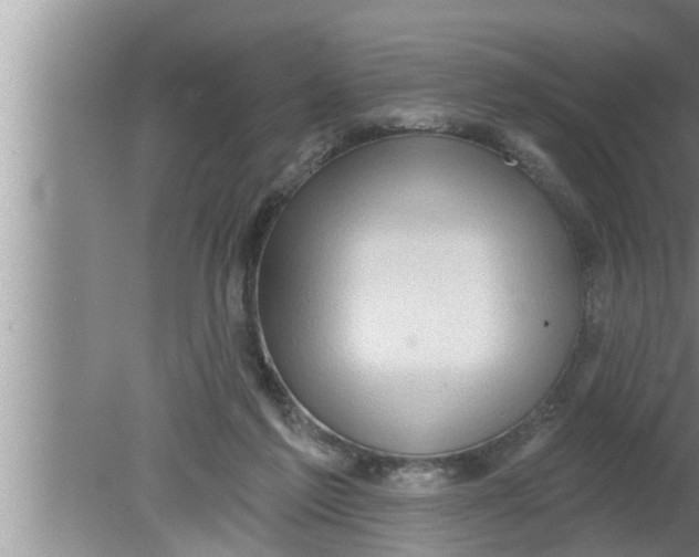 X0000080150213200612302136