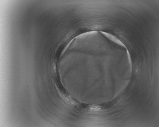 X0000080150214200612302136