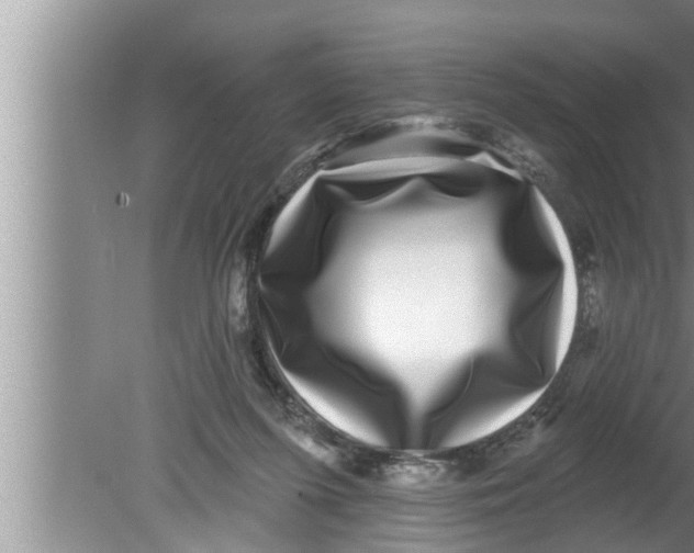 X0000080150215200612302136