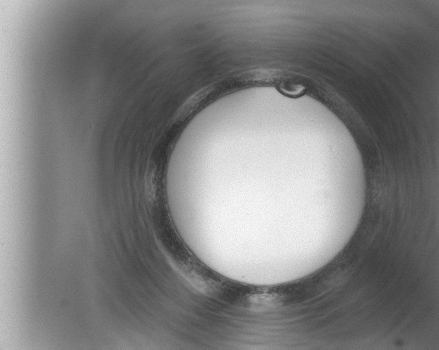 X0000080150216200612302136