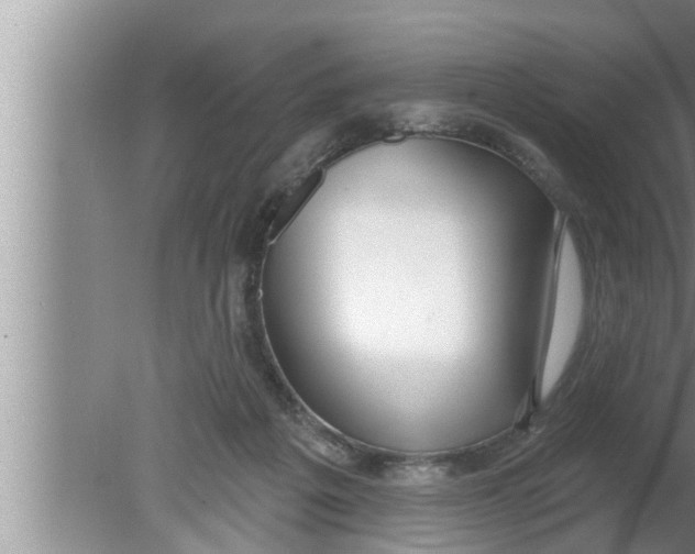 X0000080150217200612302136