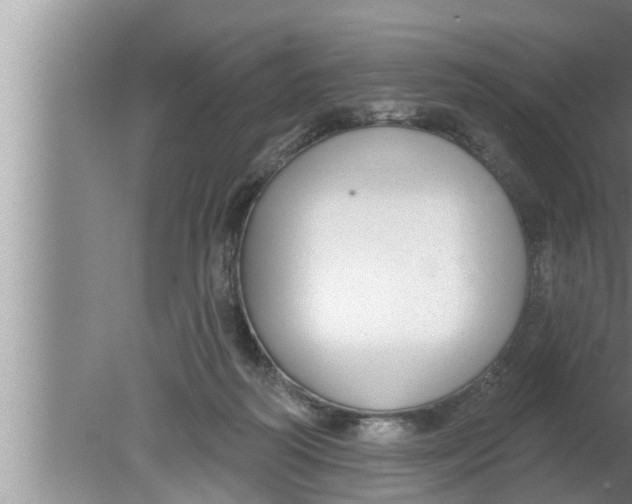 X0000080150218200612302136