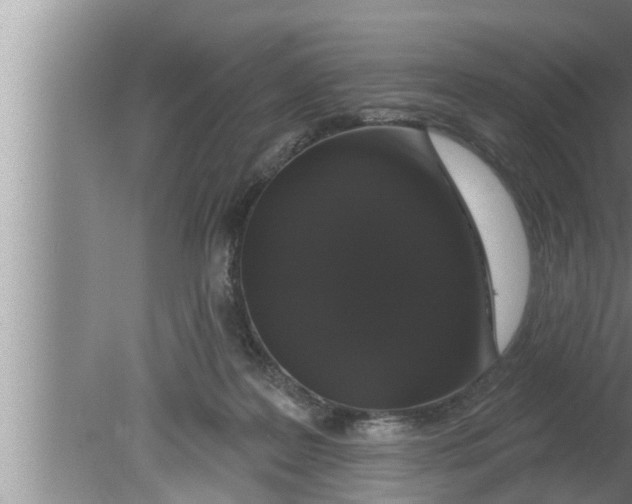 X0000080150219200612302136