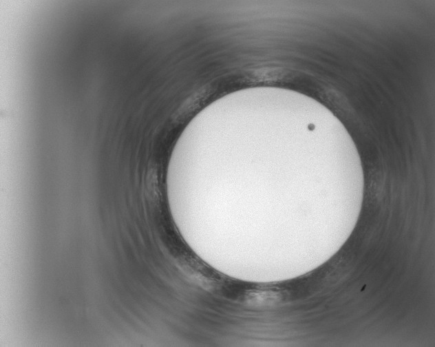 X0000080150220200612302136