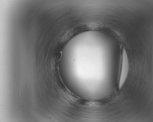 X0000080150221200612302136