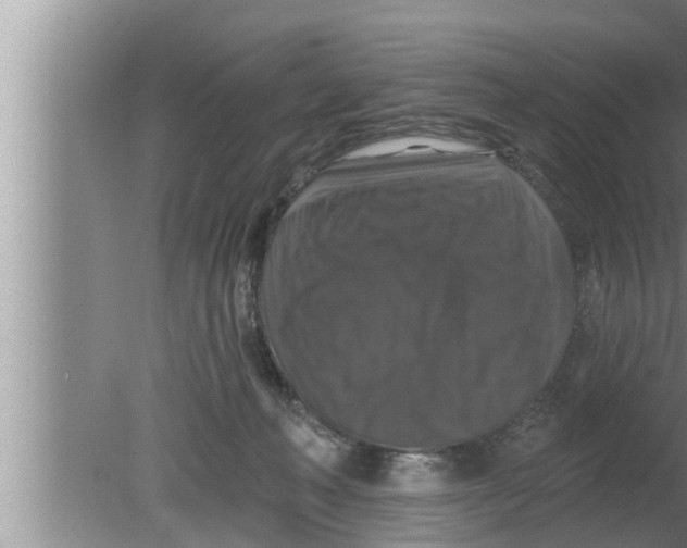 X0000080150222200612302136