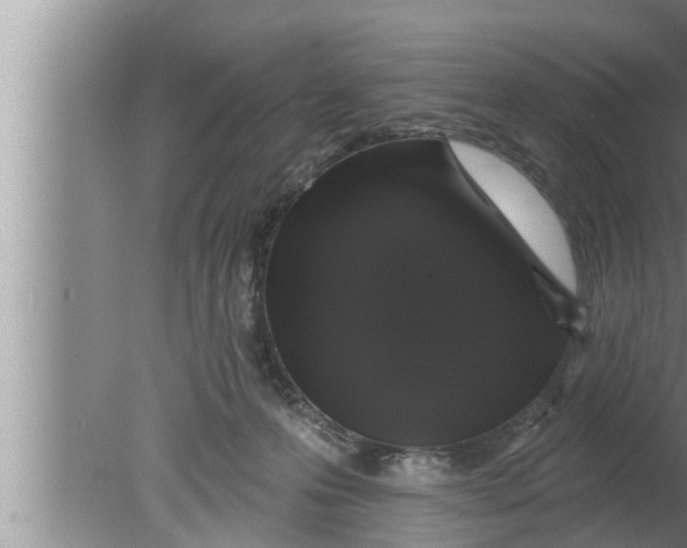 X0000080150223200612302136