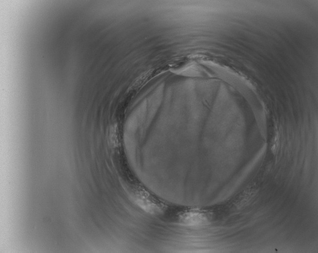 X0000080150224200612302136