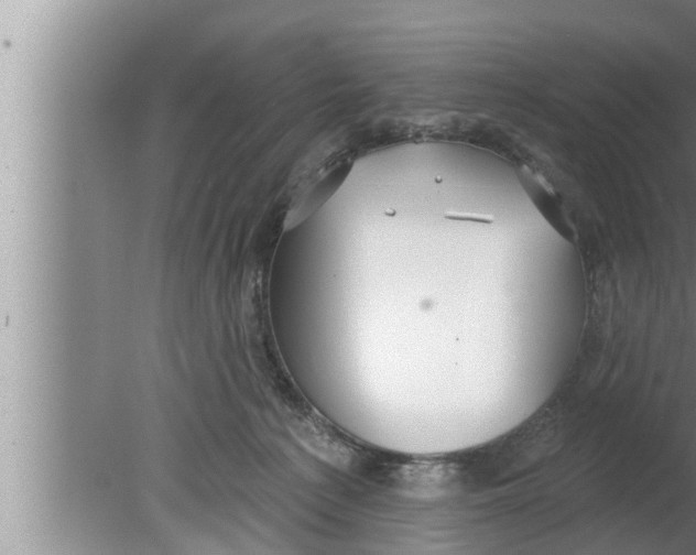 X0000080150225200612302136