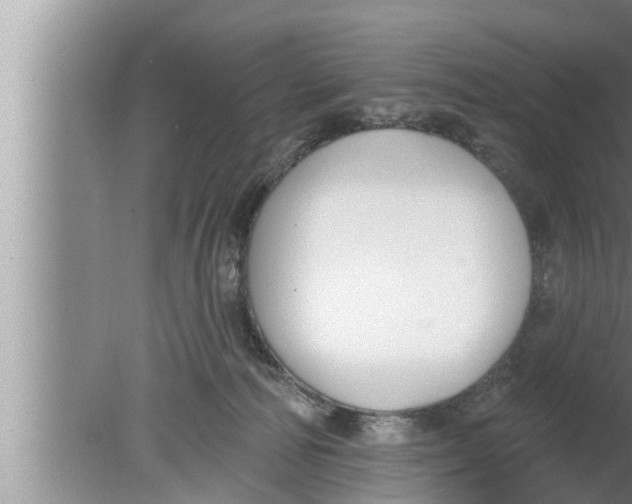 X0000080150226200612302136