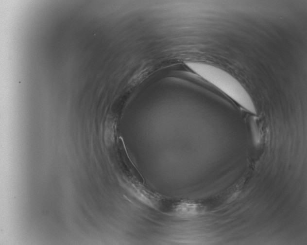 X0000080150227200612302136