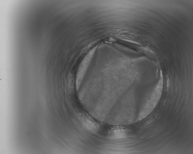 X0000080150228200612302136