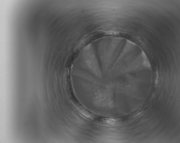 X0000080150229200612302136