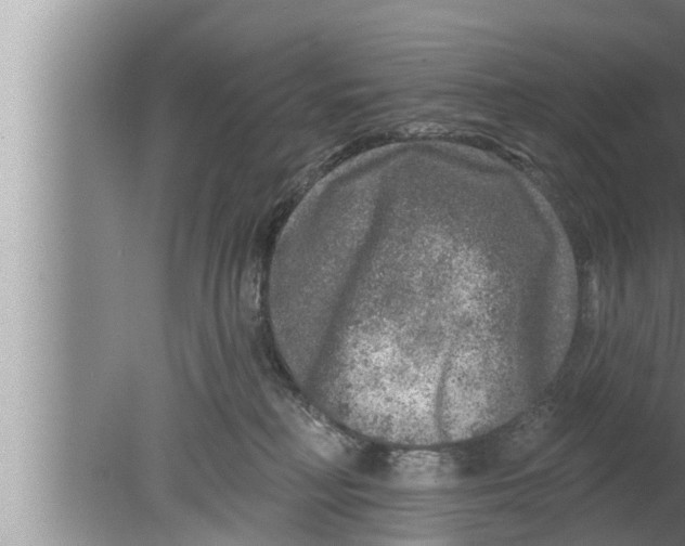 X0000080150230200612302136