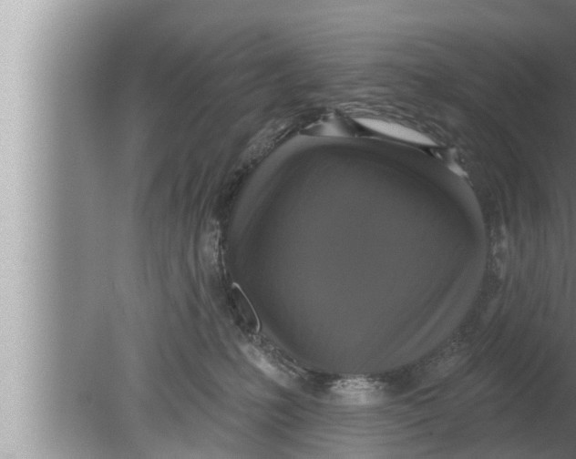 X0000080150231200612302136