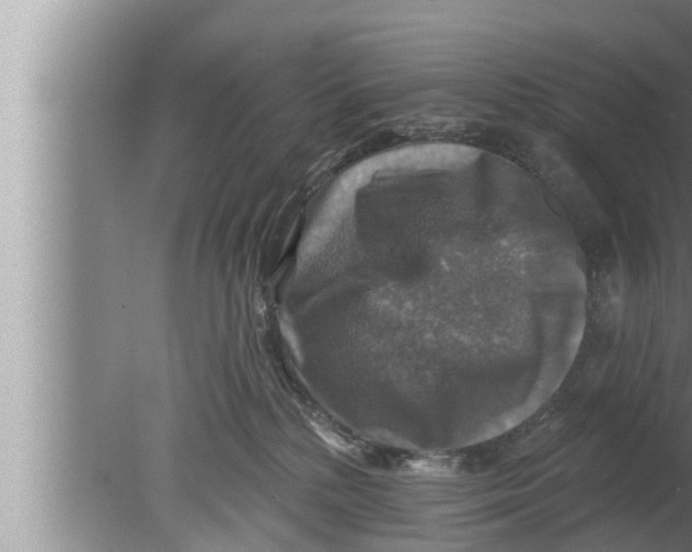 X0000080150232200612302136