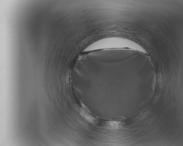 X0000080150233200612302136