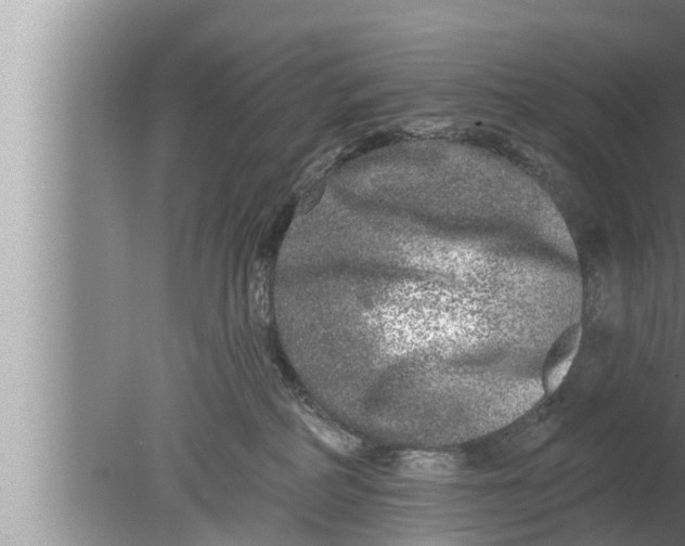 X0000080150234200612302136