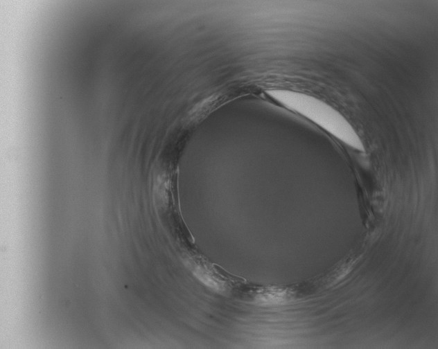 X0000080150235200612302136