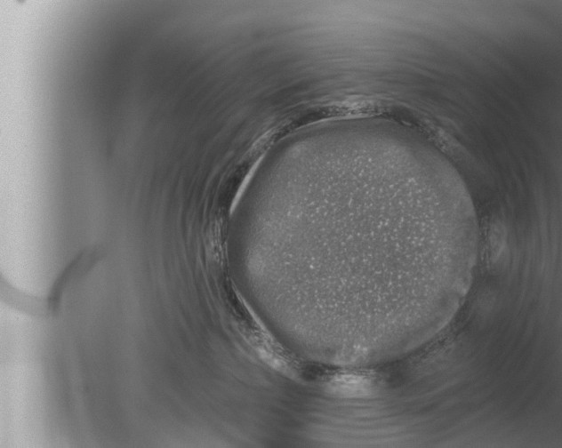 X0000080150236200612302136