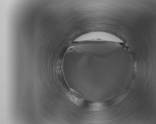 X0000080150237200612302136