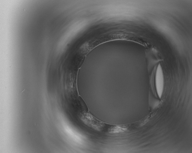 X0000080150239200612302136