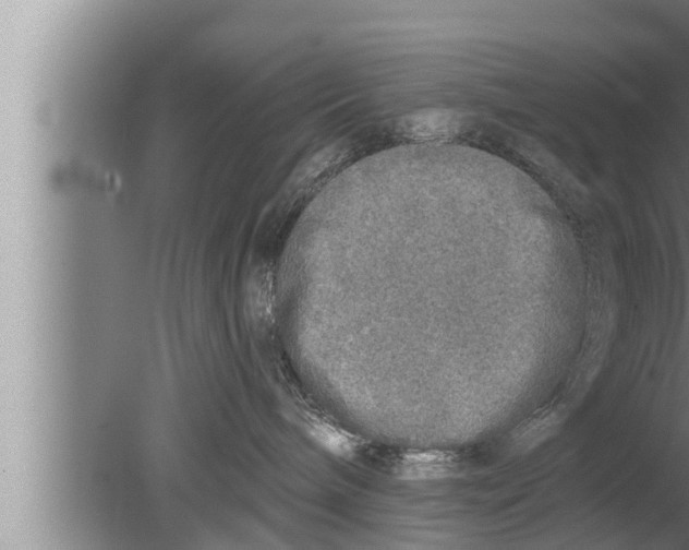 X0000080150240200612302136