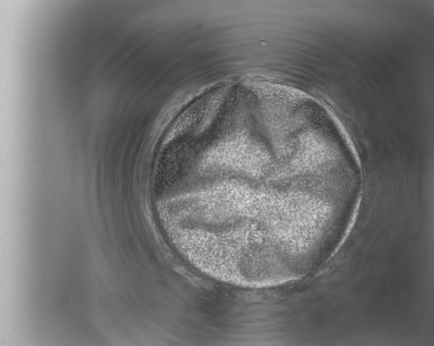 X0000080150241200612302135