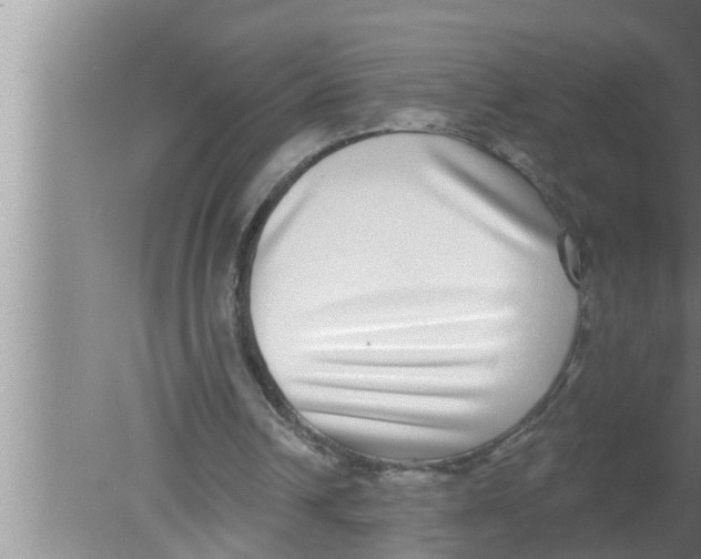 X0000080150242200612302135