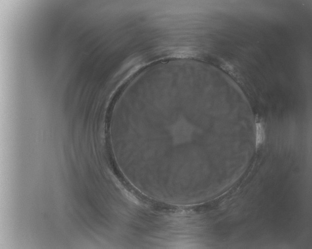 X0000080150243200612302135