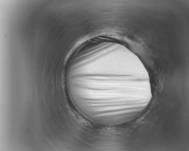 X0000080150244200612302135