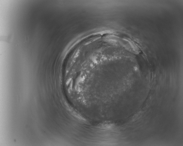 X0000080150247200612302135