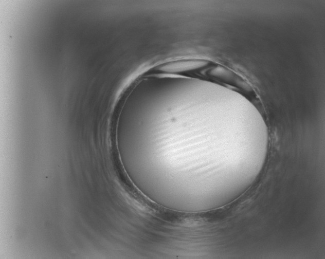 X0000080150248200612302135