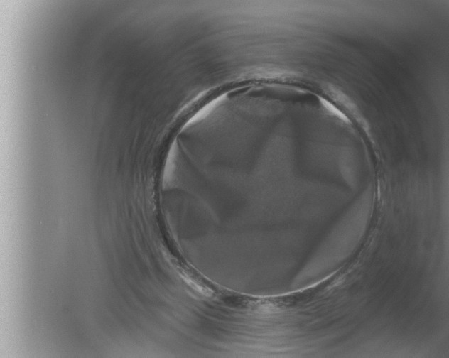 X0000080150249200612302135