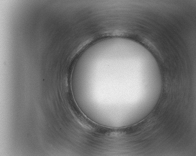 X0000080150251200612302135