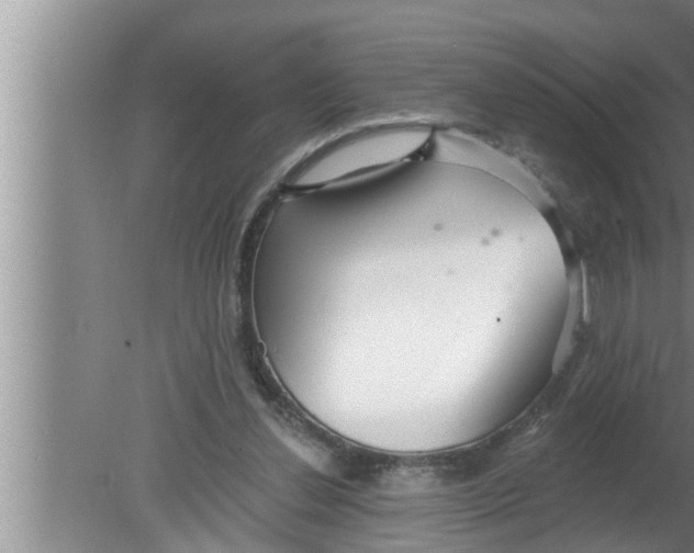 X0000080150252200612302135