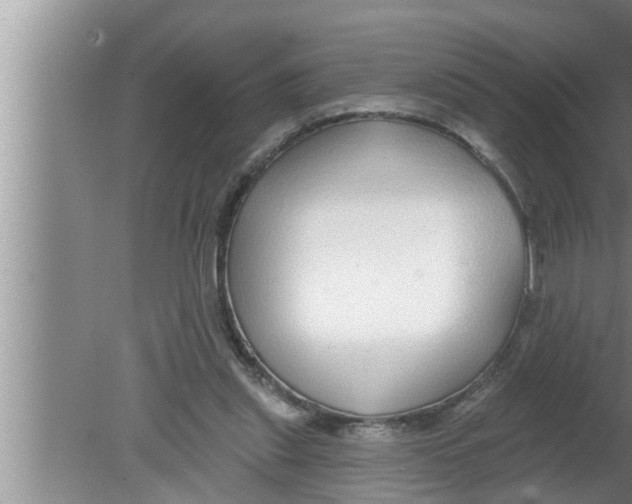 X0000080150253200612302135