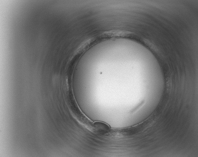 X0000080150254200612302135