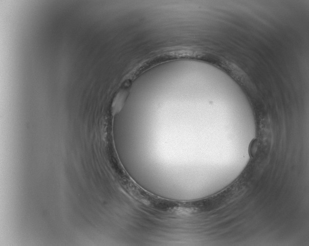 X0000080150255200612302135