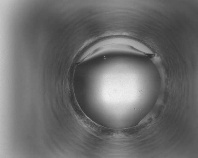 X0000080150256200612302135