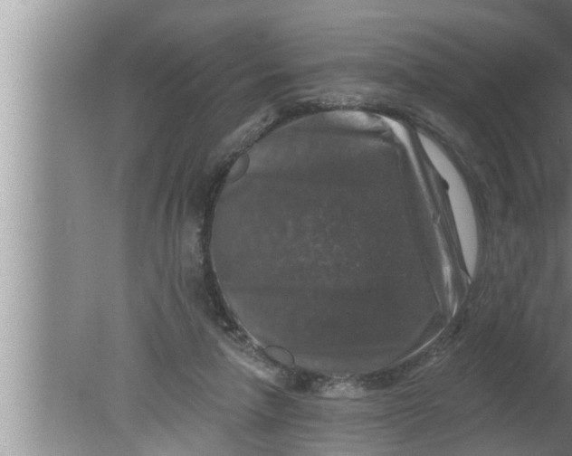 X0000080150258200612302135