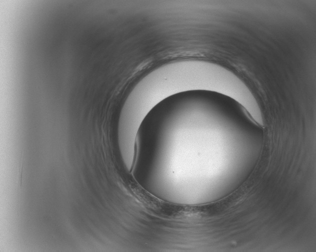 X0000080150260200612302135