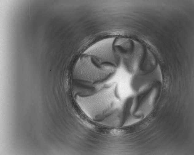 X0000080150261200612302135